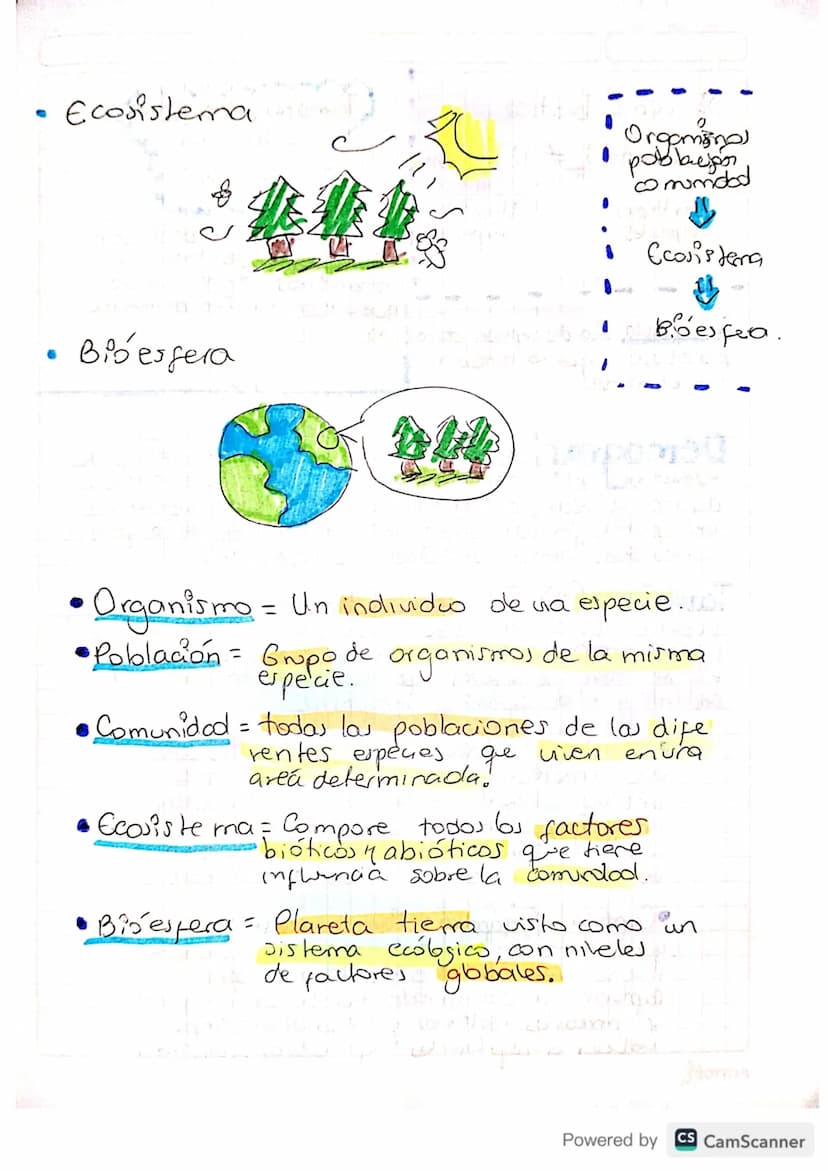 09-06-24
Ciencias
Naturales
·
Biología=
-Ecosistemas.
-Organismos
= -La celula Lalonde
• Ecosistemas = Conose interelacionan
los organismos
