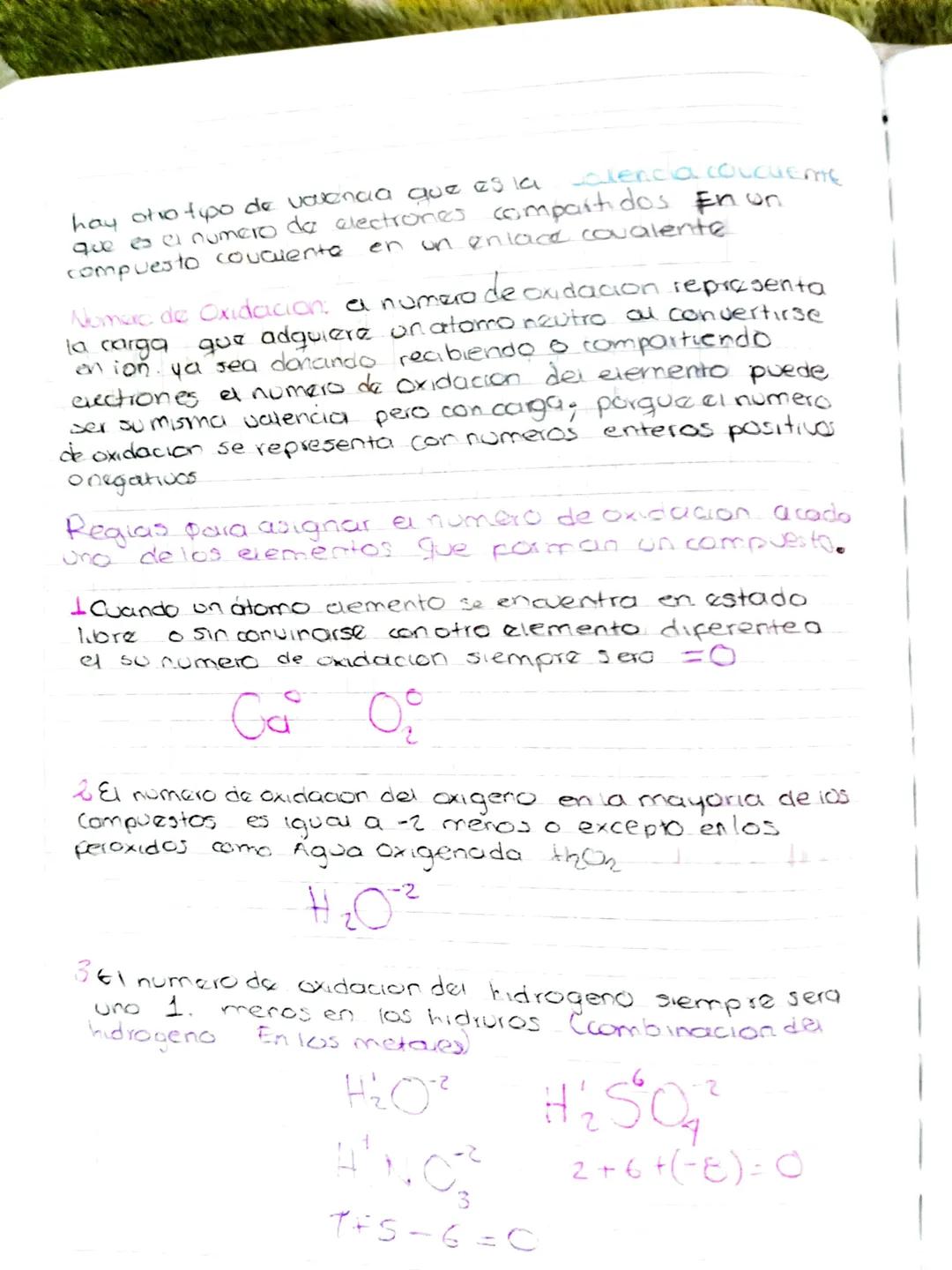 Nomenclatura
Lenguaje de la Quimica
Escribir For
mulas
Leer Formulas
Selemento
Simbolo.
compuestos
QUIMICA
(a nomenclature quimica hace refe