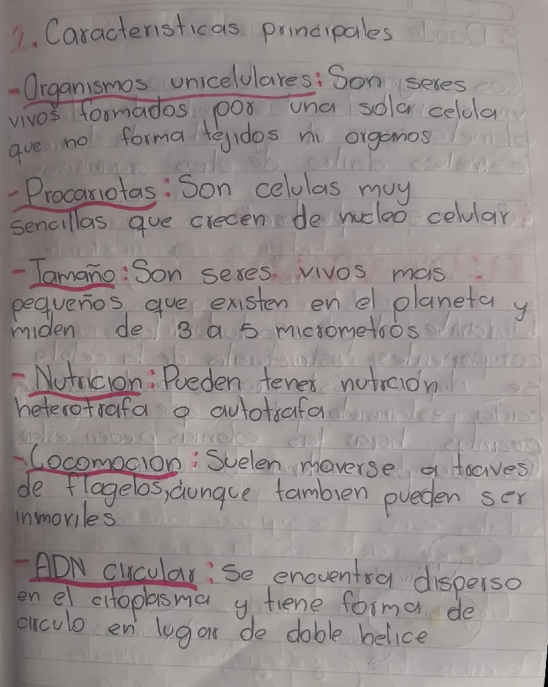 REMO

MINERA

El objetivo de este trabajo es
describir y comparar las caracteristicas
principales del reino morera y protista

MVESTIGACIÓN
