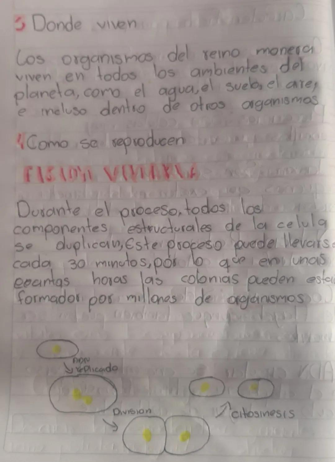 REMO

MINERA

El objetivo de este trabajo es
describir y comparar las caracteristicas
principales del reino morera y protista

MVESTIGACIÓN
