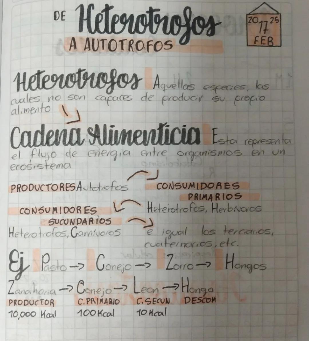 # DE Heterotrofos
20/25
17
FEB
# A AUTOTROFOS
Heterotrofos Aquellas especies, las
cuales no son capaces de producir su propio
alimento
Caden