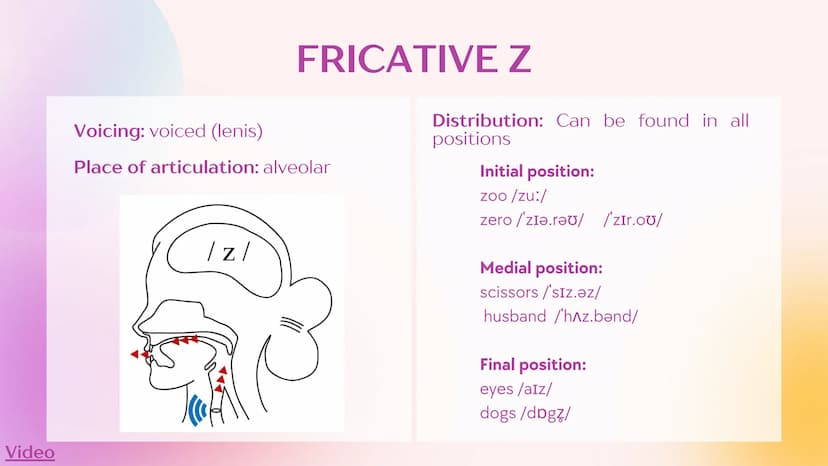Agenda
1
Fricatives
2
Fricative S
3
Fricative Z
4
Fricative
5
Fricative 3
6
Fricative h
7
w and M sounds What are
fricatives?
Sounds result 
