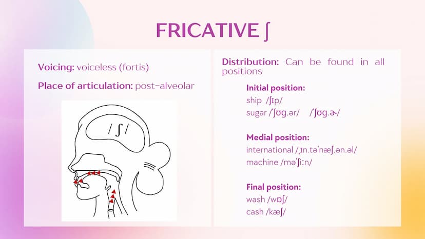 Agenda
1
Fricatives
2
Fricative S
3
Fricative Z
4
Fricative
5
Fricative 3
6
Fricative h
7
w and M sounds What are
fricatives?
Sounds result 