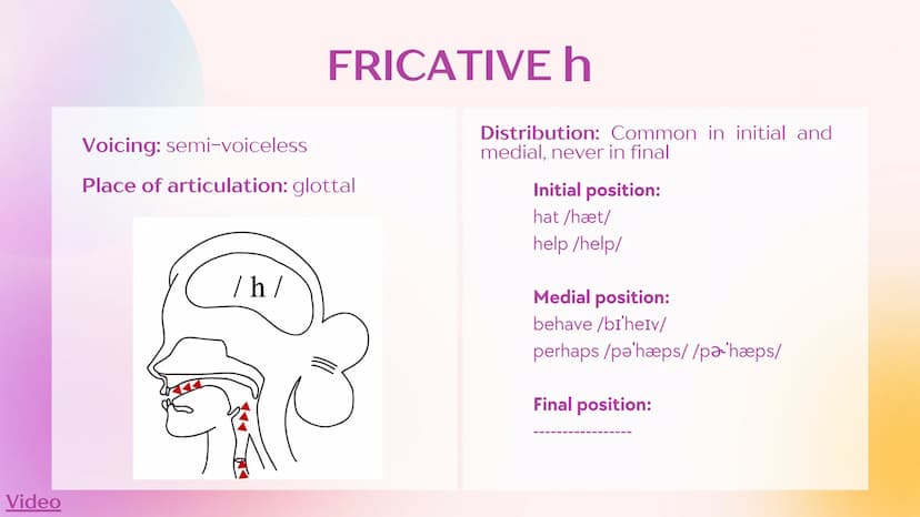 Agenda
1
Fricatives
2
Fricative S
3
Fricative Z
4
Fricative
5
Fricative 3
6
Fricative h
7
w and M sounds What are
fricatives?
Sounds result 