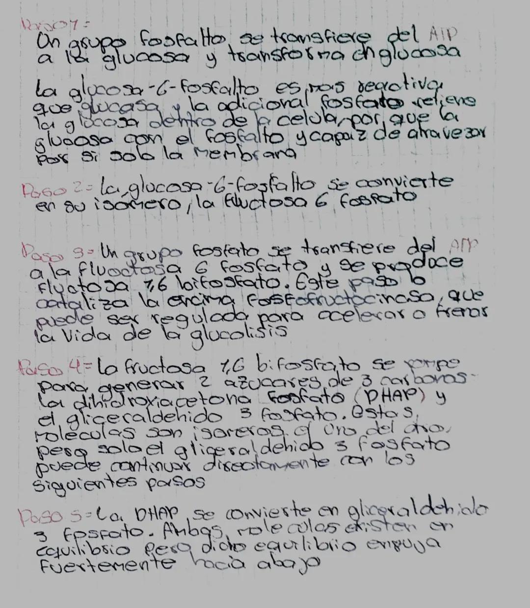 13507=
On
fosfatto, se transfiere del AIP
a 12 lucasa y transforma ch glucosa
la
grupo
la glucosa - 6-fosfalto es mas reactiva
la adicional 