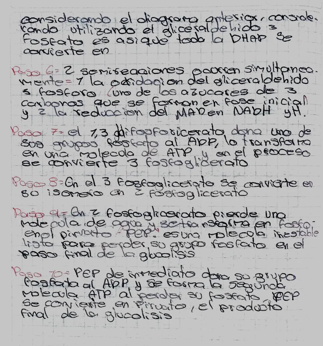13507=
On
fosfatto, se transfiere del AIP
a 12 lucasa y transforma ch glucosa
la
grupo
la glucosa - 6-fosfalto es mas reactiva
la adicional 