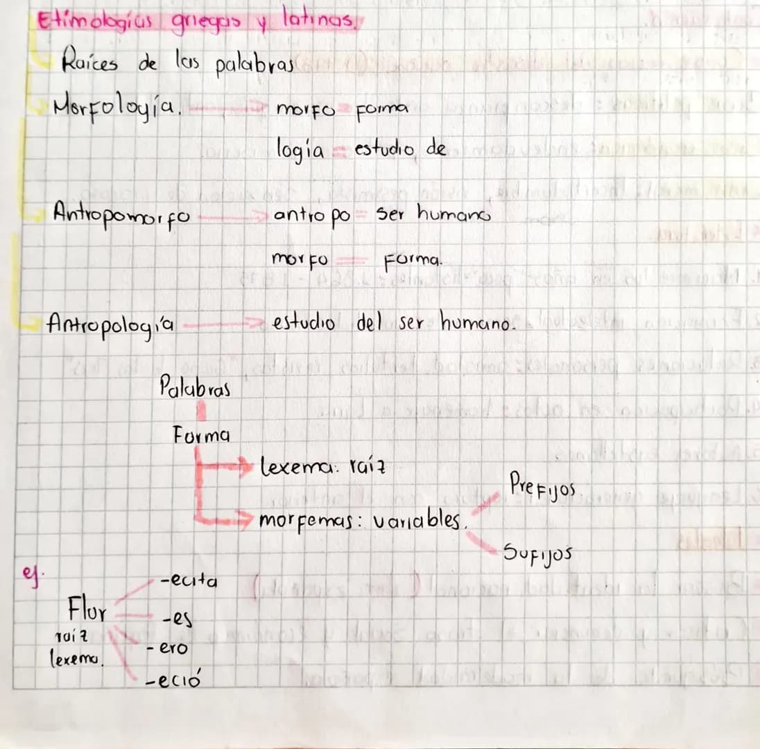 Etimologías griegos y latinas.
Raíces de las palabras
Morfologia.
morfo Forma
logia estudio de
Antropomorfo
antro po
Ser humano
Forma.
Antro