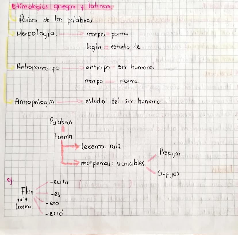 Etimologías griegos y latinas.
Raíces de las palabras
Morfologia.
morfo Forma
logia estudio de
Antropomorfo
antro po
Ser humano
Forma.
Antro