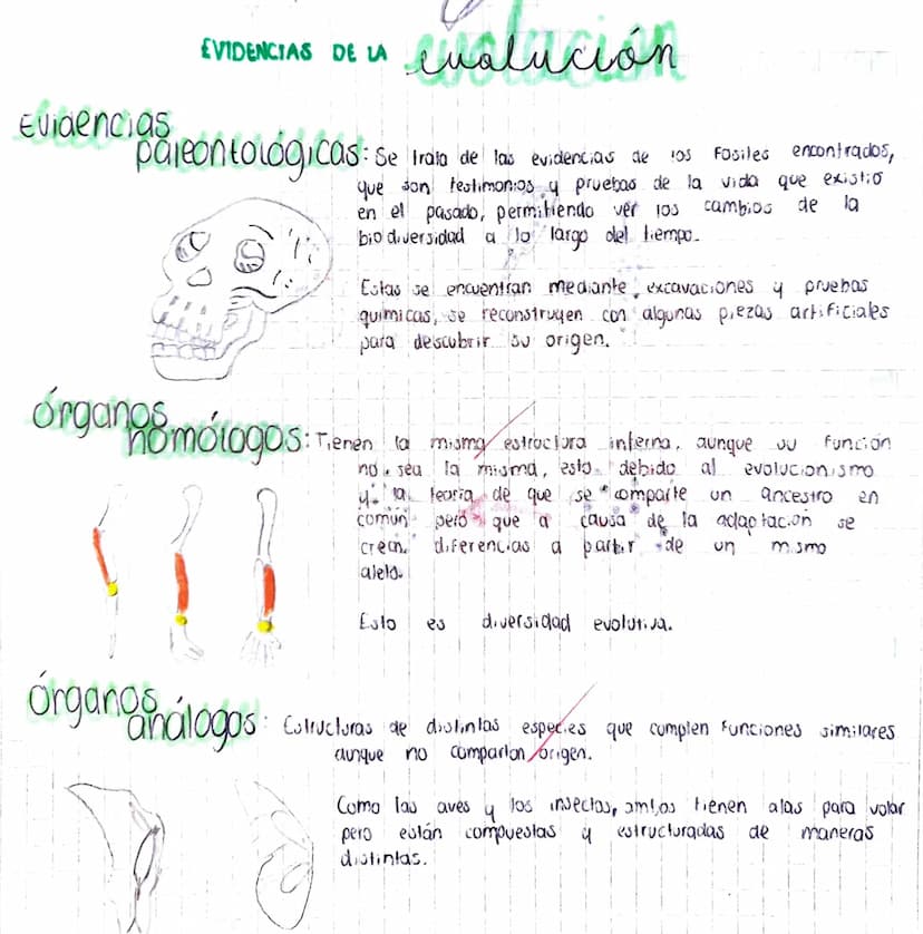 Evidencias
EVIDENCIAS DE LA
pareontológicas:
evalución
:Se trata de las evidencias de 105 Fosiles encontrados,
que son testimonios y pruebas