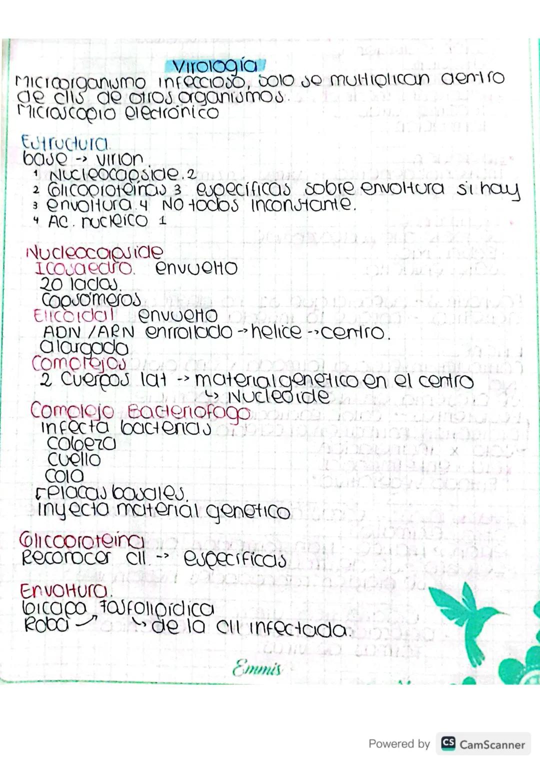 Virologia
Microorganismo INFECCIOSO, solo se multiplican dentro
de clis de otros organismos.
Microscopio electrónico
Estructura
base virion.
