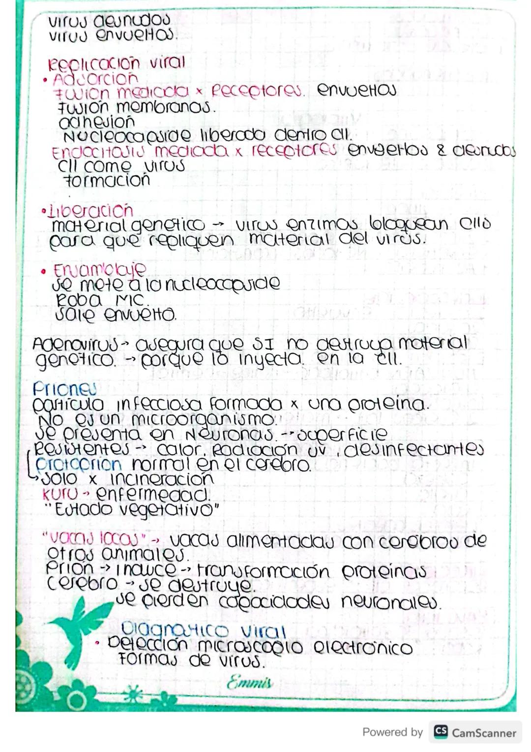 Virologia
Microorganismo INFECCIOSO, solo se multiplican dentro
de clis de otros organismos.
Microscopio electrónico
Estructura
base virion.