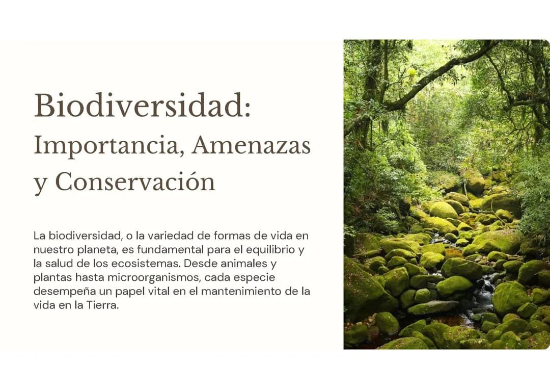 Biodiversidad: 