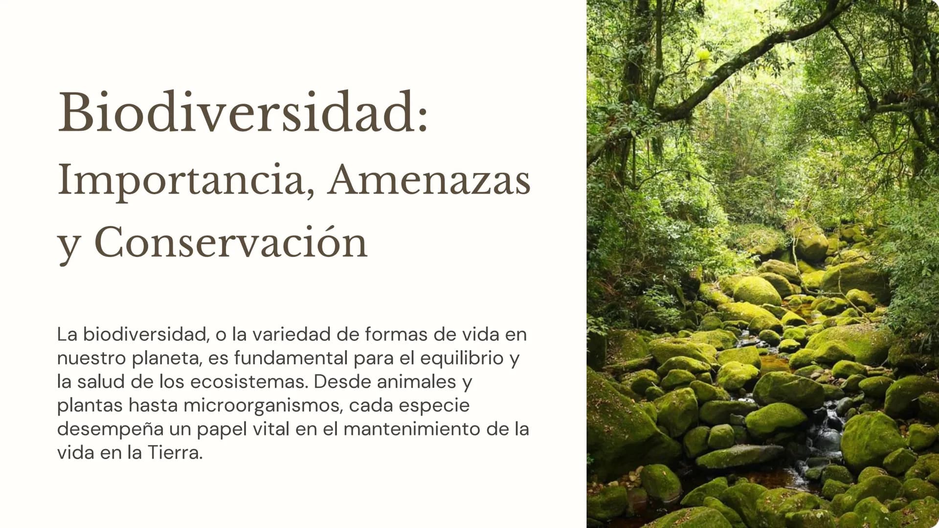 Biodiversidad:
Importancia, Amenazas
y Conservación
La biodiversidad, o la variedad de formas de vida en
nuestro planeta, es fundamental par