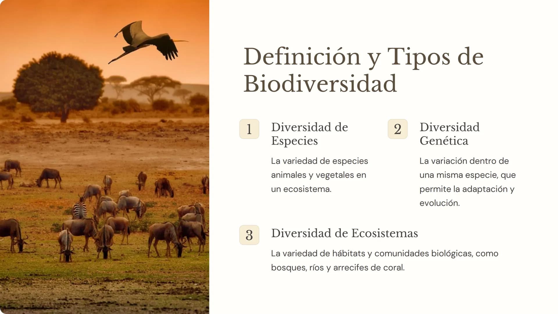 Biodiversidad:
Importancia, Amenazas
y Conservación
La biodiversidad, o la variedad de formas de vida en
nuestro planeta, es fundamental par