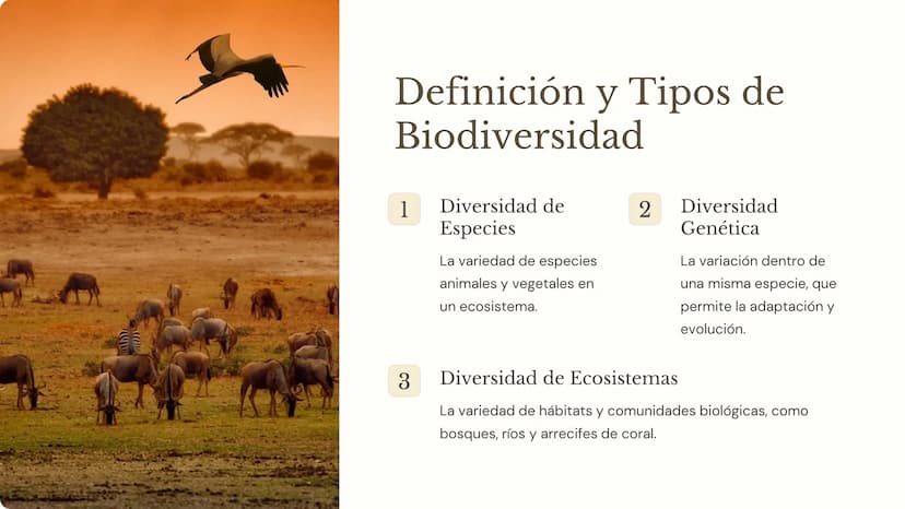Biodiversidad:
Importancia, Amenazas
y Conservación
La biodiversidad, o la variedad de formas de vida en
nuestro planeta, es fundamental par