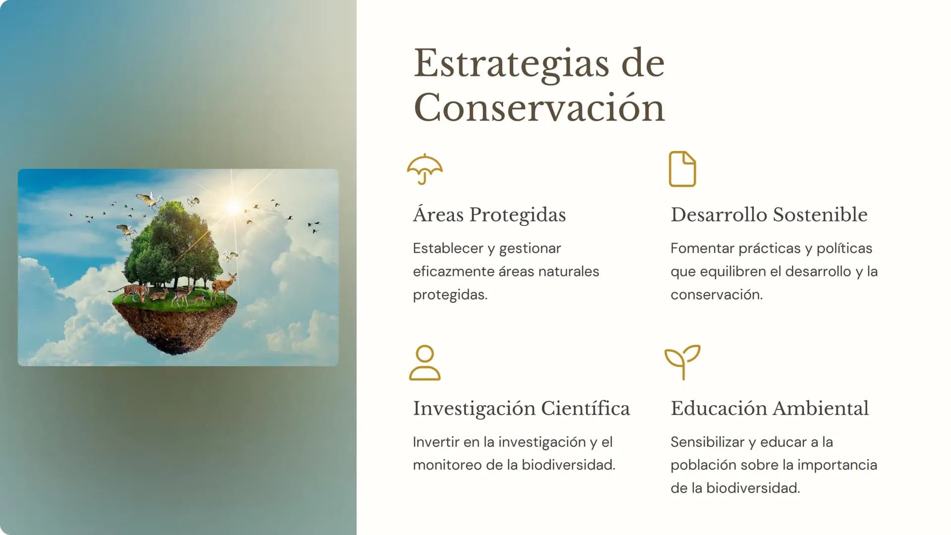 Biodiversidad:
Importancia, Amenazas
y Conservación
La biodiversidad, o la variedad de formas de vida en
nuestro planeta, es fundamental par