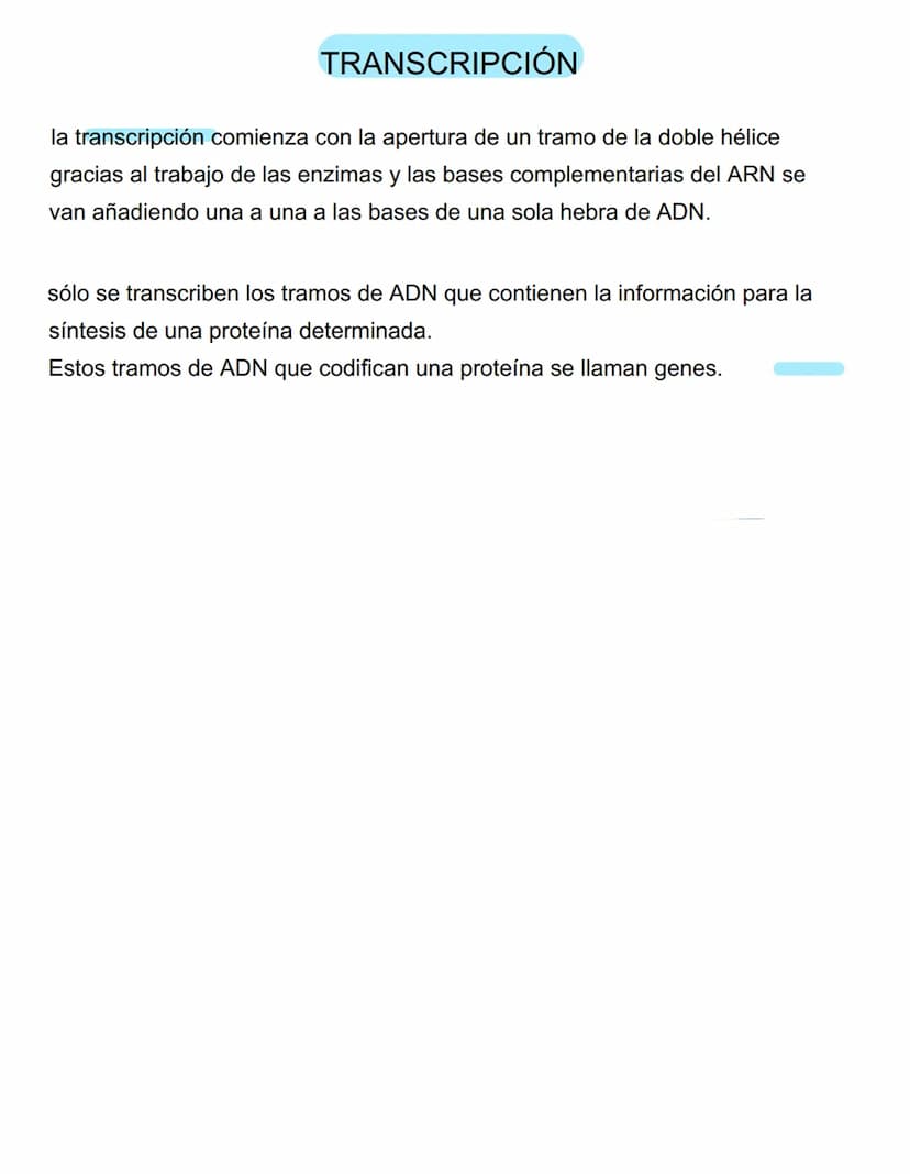 DUPLICACIÓN DEL ADN
la duplicación se produce en la fase anterior a la reproducción de la célula, es decir, la
mitosis, por lo que cada célu