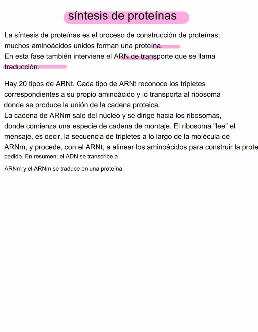 DUPLICACIÓN DEL ADN
la duplicación se produce en la fase anterior a la reproducción de la célula, es decir, la
mitosis, por lo que cada célu