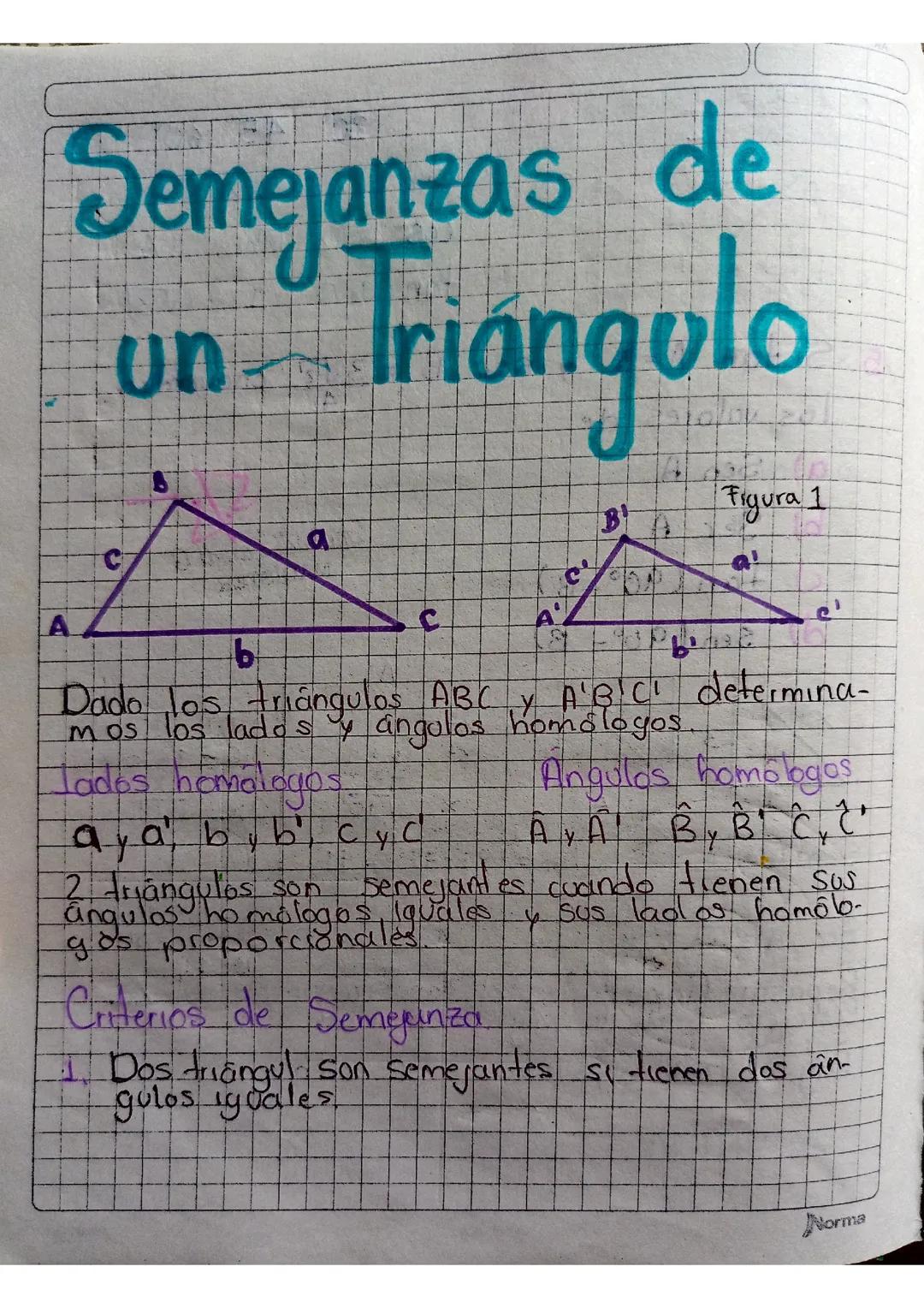 Semejanzas de un triángulo. 