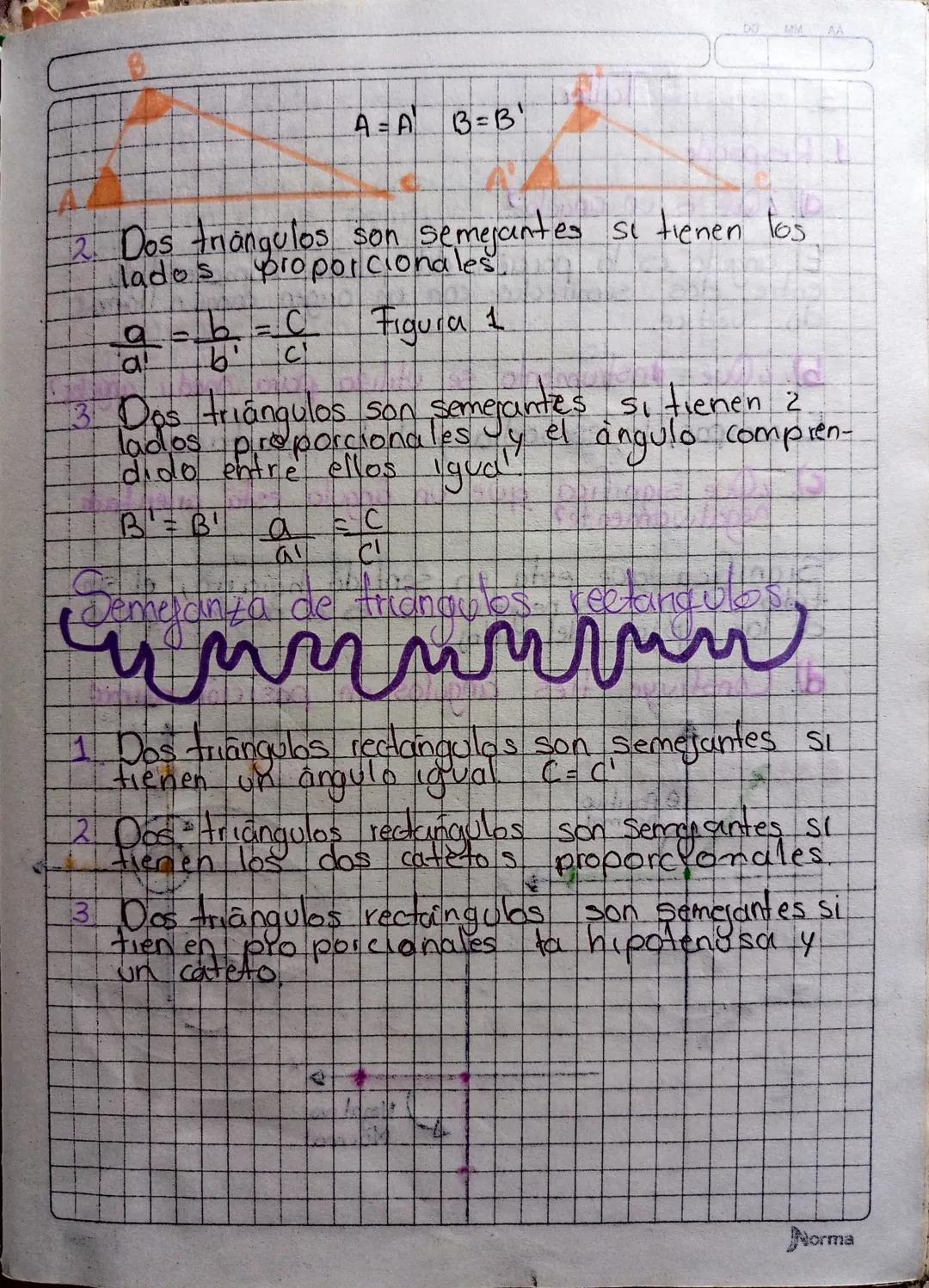 Semejanzas
un
de
Triangulo
B
Figura 1
b
St
Dado los triángulos ABC y A'B'C' determina-
MOS los lados y angolos homólogos.
lados homologos.
a