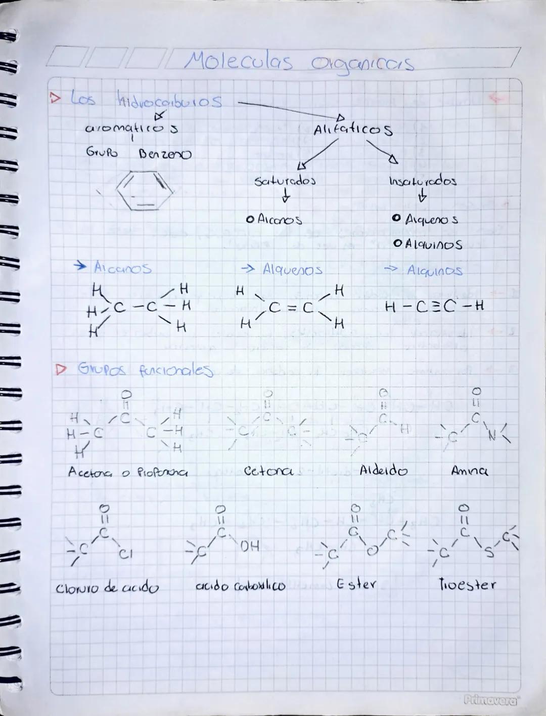 7 Moleculas organicas
> Los hidrocarburos
aromaticos
Alifaticos
Grupo
Benzeno
Saturados
Insaturados
↓
Aiconos
• Aiquenos
O Alquinos
→ Alquen