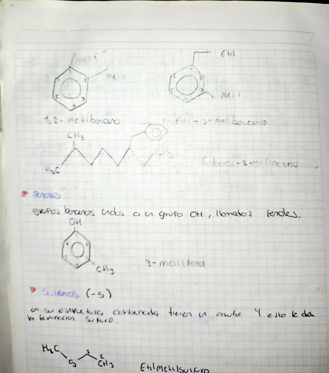 7 Moleculas organicas
> Los hidrocarburos
aromaticos
Alifaticos
Grupo
Benzeno
Saturados
Insaturados
↓
Aiconos
• Aiquenos
O Alquinos
→ Alquen