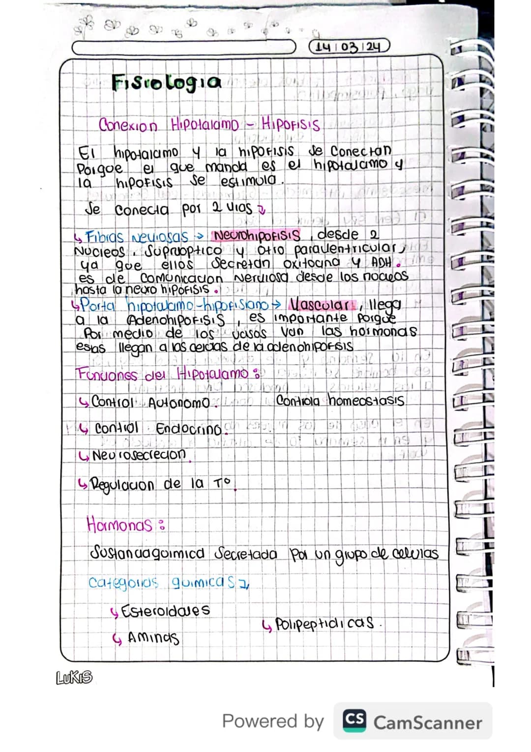 Fisiología sistema endocrino 