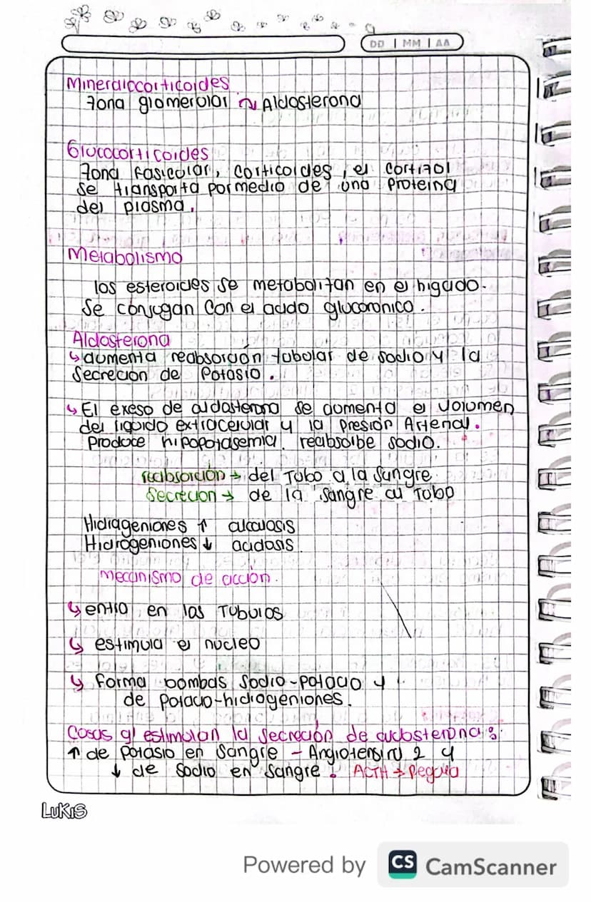 14/03/24
Fisiologia
Conexion Hipotalamo - HIPOFISIS
El hipotalamo 4 la hipofisis Se Conectan
Porgue e que manda es el hipotalamo y
hipofisis