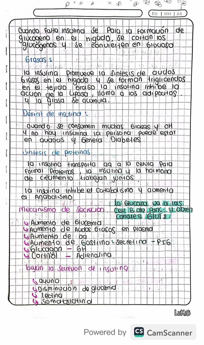 14/03/24
Fisiologia
Conexion Hipotalamo - HIPOFISIS
El hipotalamo 4 la hipofisis Se Conectan
Porgue e que manda es el hipotalamo y
hipofisis