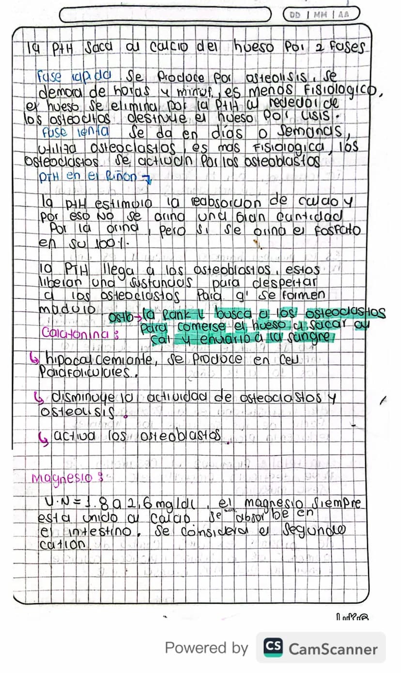 14/03/24
Fisiologia
Conexion Hipotalamo - HIPOFISIS
El hipotalamo 4 la hipofisis Se Conectan
Porgue e que manda es el hipotalamo y
hipofisis