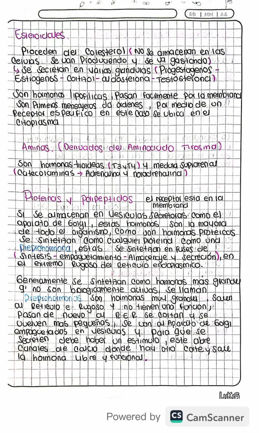 14/03/24
Fisiologia
Conexion Hipotalamo - HIPOFISIS
El hipotalamo 4 la hipofisis Se Conectan
Porgue e que manda es el hipotalamo y
hipofisis