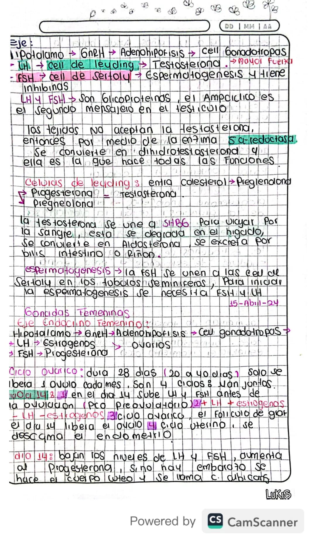 14/03/24
Fisiologia
Conexion Hipotalamo - HIPOFISIS
El hipotalamo 4 la hipofisis Se Conectan
Porgue e que manda es el hipotalamo y
hipofisis