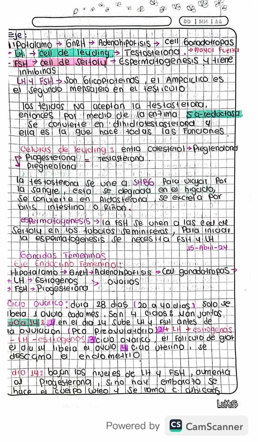 14/03/24
Fisiologia
Conexion Hipotalamo - HIPOFISIS
El hipotalamo 4 la hipofisis Se Conectan
Porgue e que manda es el hipotalamo y
hipofisis