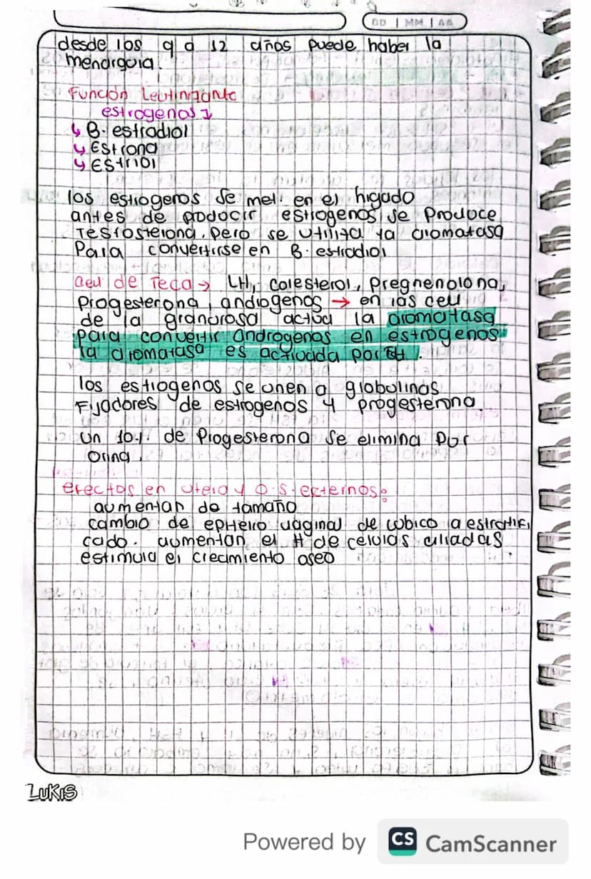 14/03/24
Fisiologia
Conexion Hipotalamo - HIPOFISIS
El hipotalamo 4 la hipofisis Se Conectan
Porgue e que manda es el hipotalamo y
hipofisis