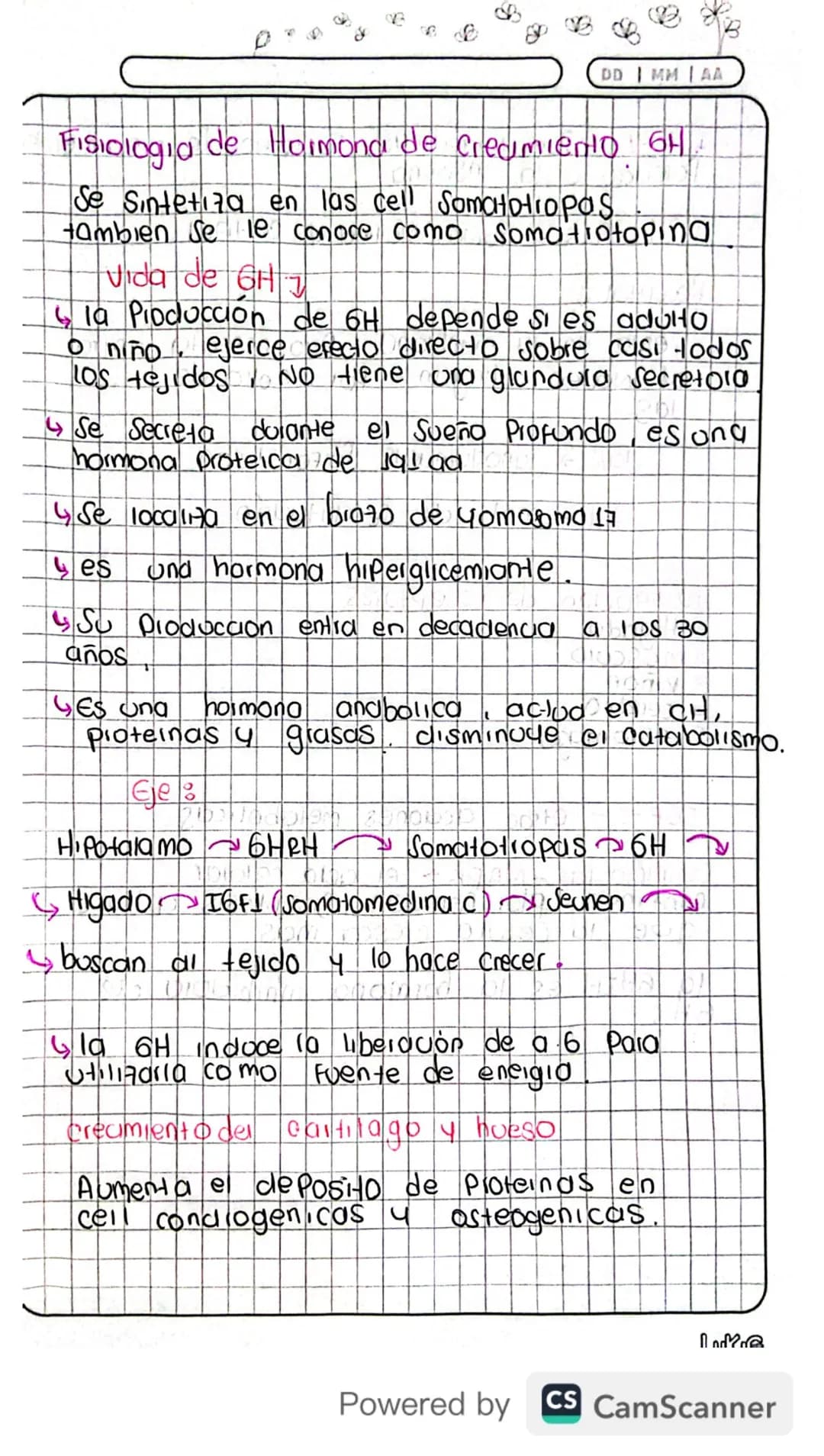14/03/24
Fisiologia
Conexion Hipotalamo - HIPOFISIS
El hipotalamo 4 la hipofisis Se Conectan
Porgue e que manda es el hipotalamo y
hipofisis