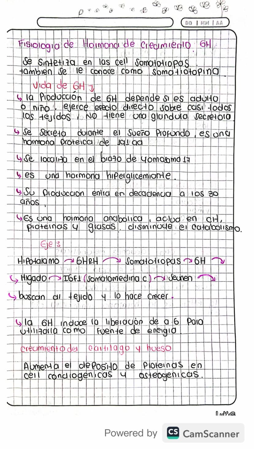 14/03/24
Fisiologia
Conexion Hipotalamo - HIPOFISIS
El hipotalamo 4 la hipofisis Se Conectan
Porgue e que manda es el hipotalamo y
hipofisis