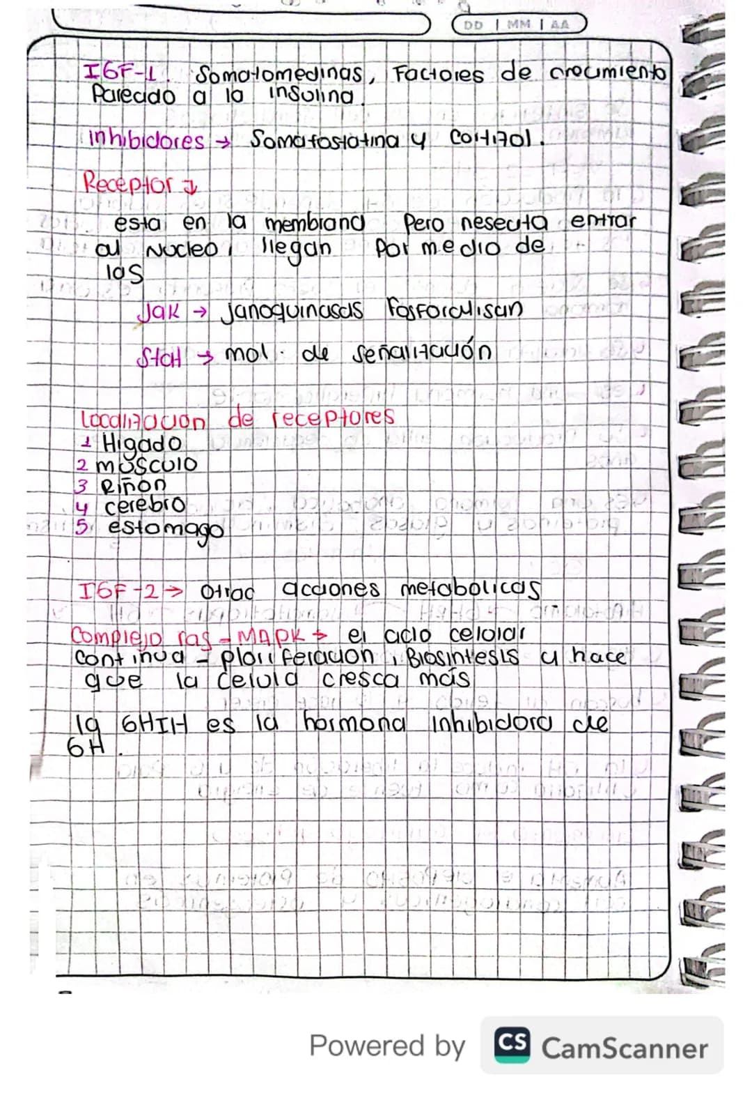14/03/24
Fisiologia
Conexion Hipotalamo - HIPOFISIS
El hipotalamo 4 la hipofisis Se Conectan
Porgue e que manda es el hipotalamo y
hipofisis