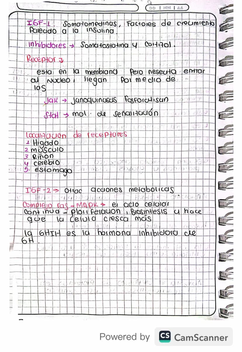 14/03/24
Fisiologia
Conexion Hipotalamo - HIPOFISIS
El hipotalamo 4 la hipofisis Se Conectan
Porgue e que manda es el hipotalamo y
hipofisis