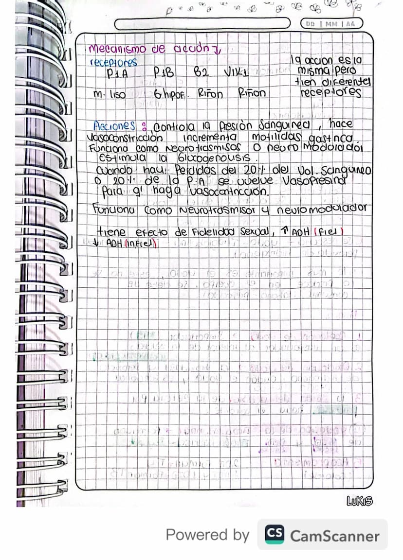 14/03/24
Fisiologia
Conexion Hipotalamo - HIPOFISIS
El hipotalamo 4 la hipofisis Se Conectan
Porgue e que manda es el hipotalamo y
hipofisis