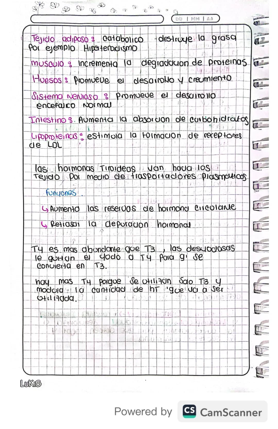 14/03/24
Fisiologia
Conexion Hipotalamo - HIPOFISIS
El hipotalamo 4 la hipofisis Se Conectan
Porgue e que manda es el hipotalamo y
hipofisis