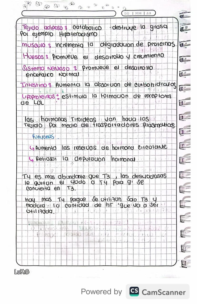 14/03/24
Fisiologia
Conexion Hipotalamo - HIPOFISIS
El hipotalamo 4 la hipofisis Se Conectan
Porgue e que manda es el hipotalamo y
hipofisis
