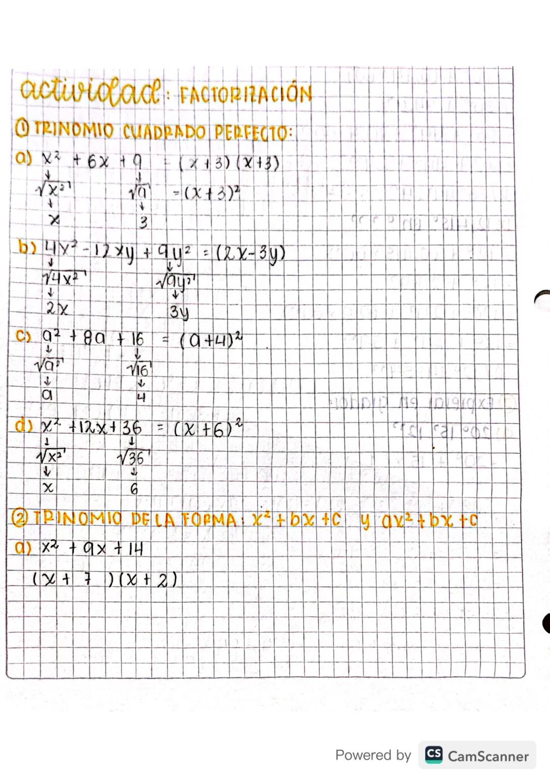 Matemáticas grado 10 - Factorización