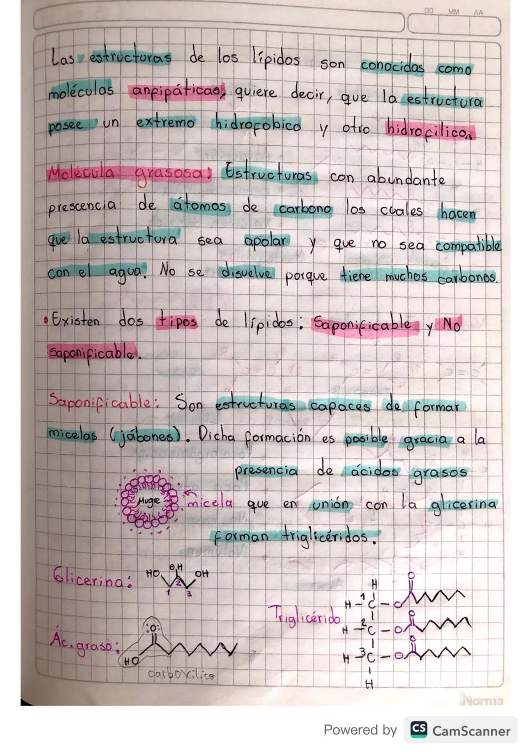 Lípidos

Biomoléculas que se encargan principalmente de funcionar
como 1 reserva energetica en los organismos animales.
Ademas cumple otras 
