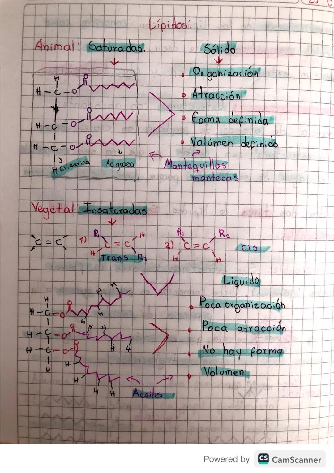 Lípidos

Biomoléculas que se encargan principalmente de funcionar
como 1 reserva energetica en los organismos animales.
Ademas cumple otras 