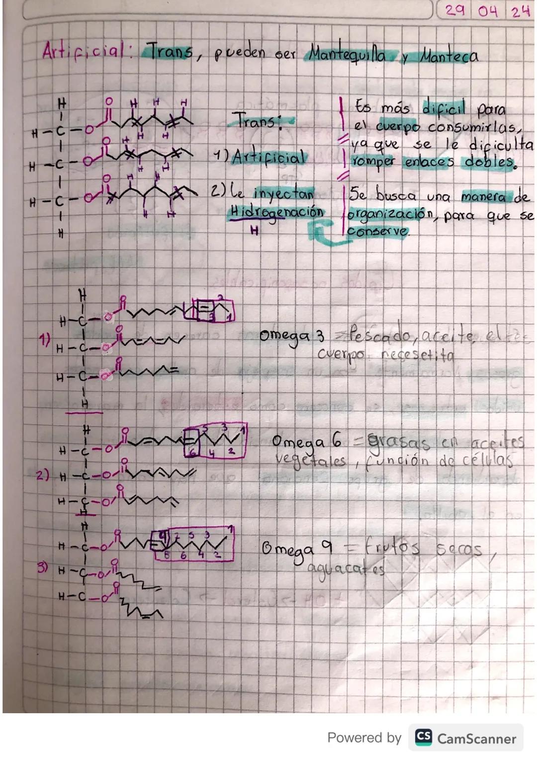 Lípidos

Biomoléculas que se encargan principalmente de funcionar
como 1 reserva energetica en los organismos animales.
Ademas cumple otras 