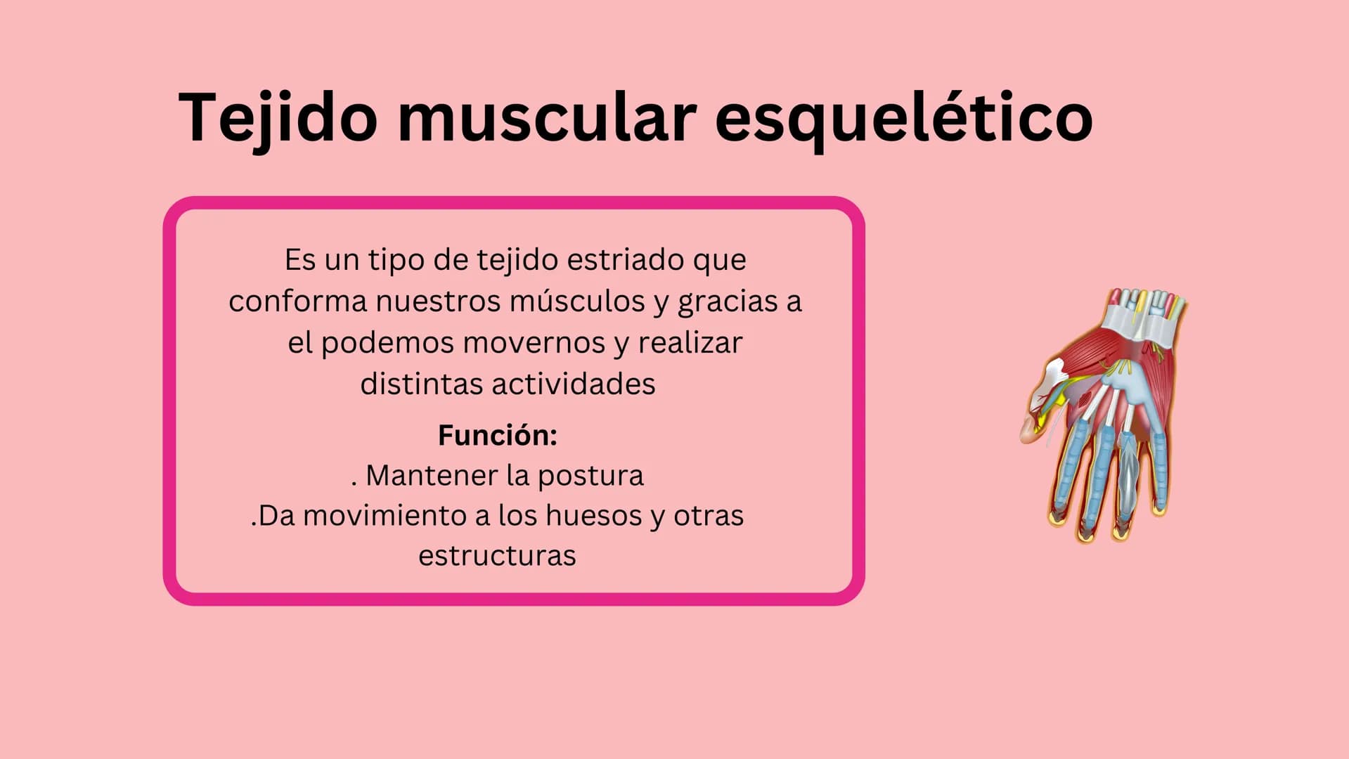 TEJIDO MUSCULAR
Hunab
Universidad Autónoma de Bucaramanga
FACULTAD DE CIENCIAS
DE LA SALUD
VIGILADA MINEDUCACIÓN ¿Qué es?
El tejido muscular