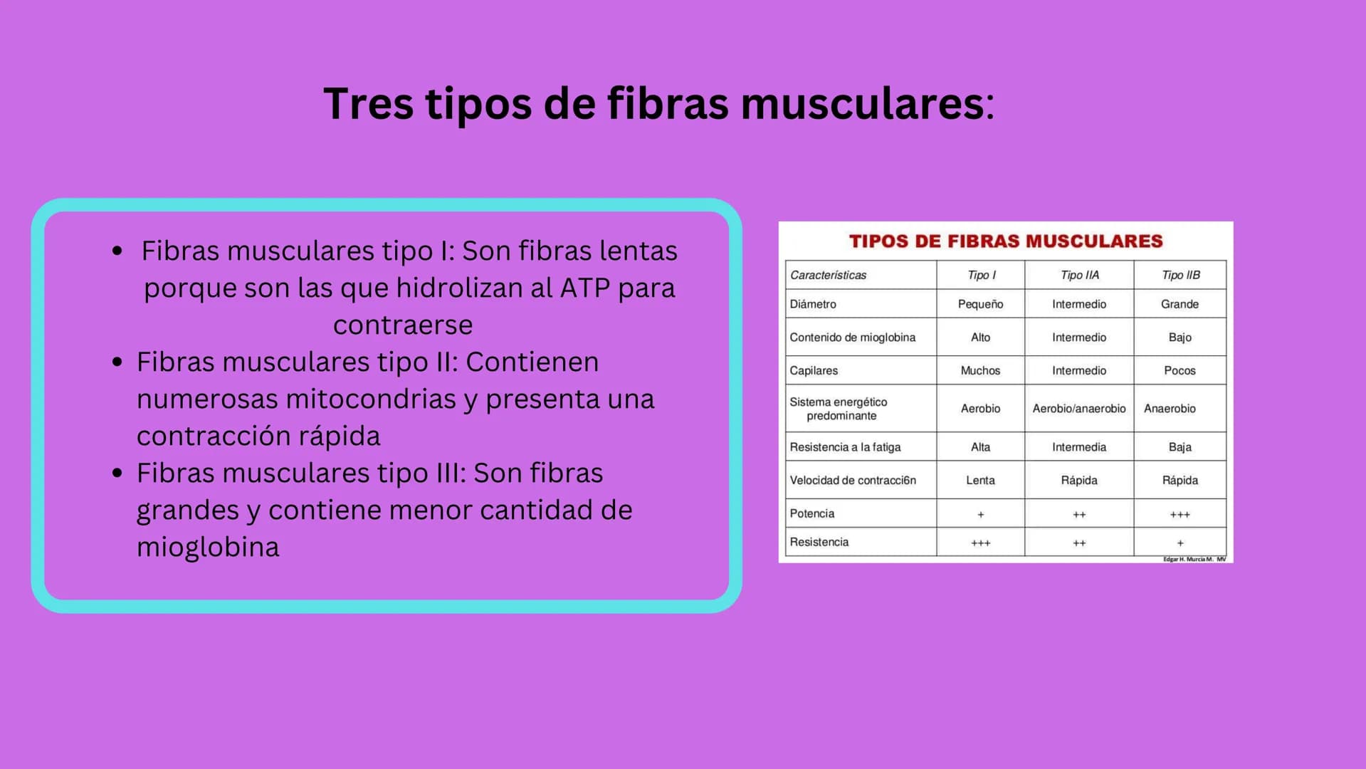 TEJIDO MUSCULAR
Hunab
Universidad Autónoma de Bucaramanga
FACULTAD DE CIENCIAS
DE LA SALUD
VIGILADA MINEDUCACIÓN ¿Qué es?
El tejido muscular