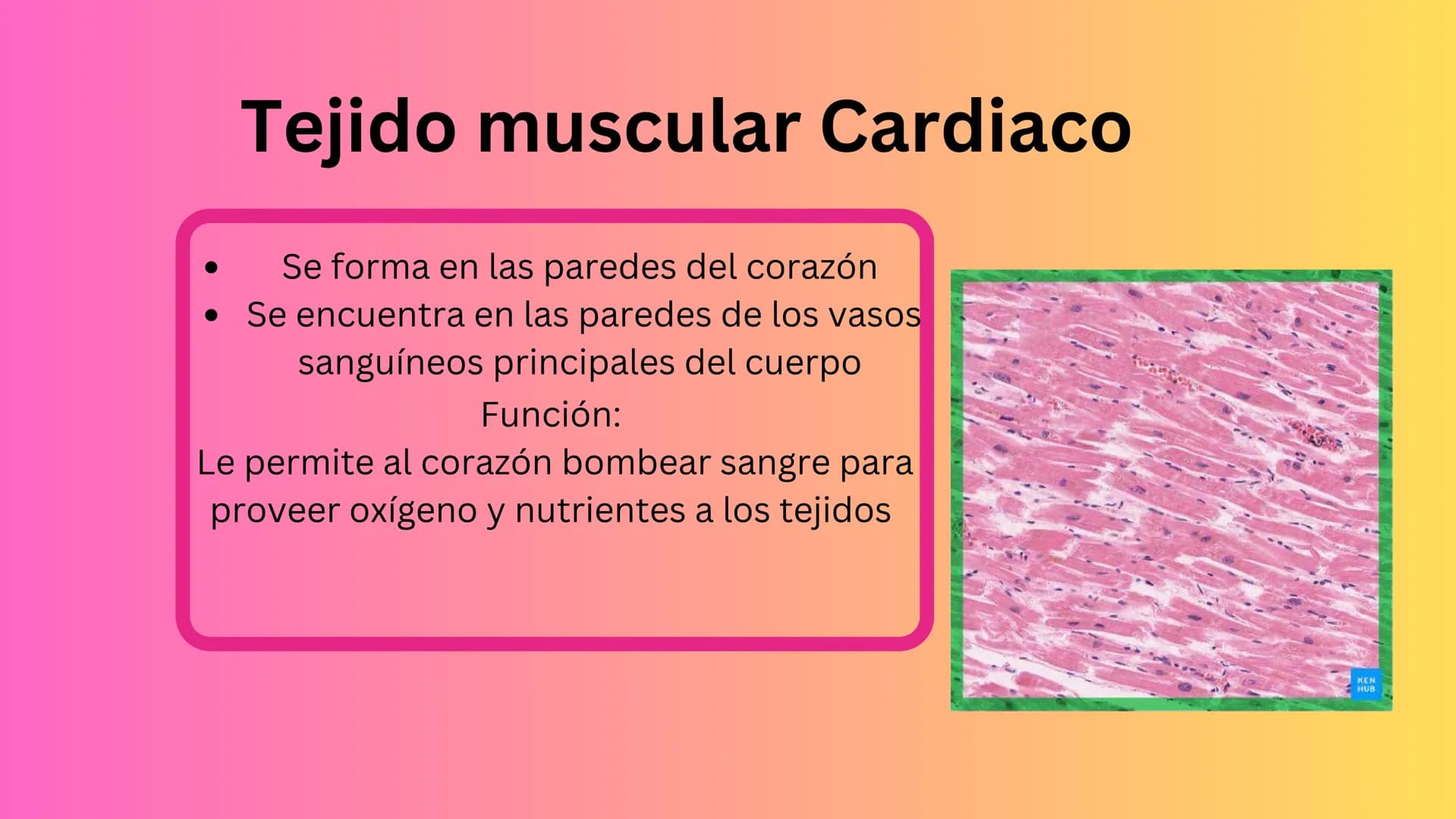 TEJIDO MUSCULAR
Hunab
Universidad Autónoma de Bucaramanga
FACULTAD DE CIENCIAS
DE LA SALUD
VIGILADA MINEDUCACIÓN ¿Qué es?
El tejido muscular