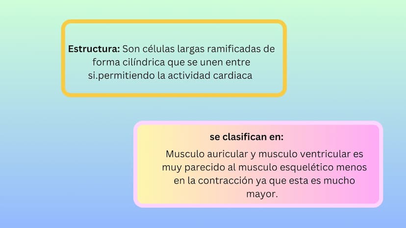 TEJIDO MUSCULAR
Hunab
Universidad Autónoma de Bucaramanga
FACULTAD DE CIENCIAS
DE LA SALUD
VIGILADA MINEDUCACIÓN ¿Qué es?
El tejido muscular