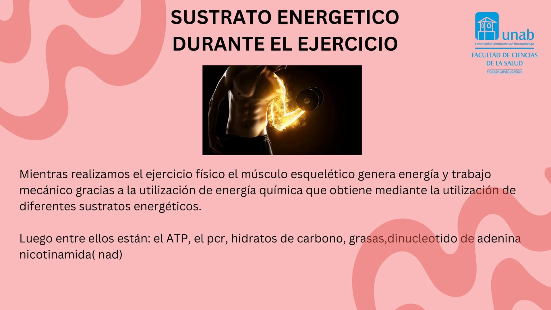 TEJIDO MUSCULAR
Hunab
Universidad Autónoma de Bucaramanga
FACULTAD DE CIENCIAS
DE LA SALUD
VIGILADA MINEDUCACIÓN ¿Qué es?
El tejido muscular